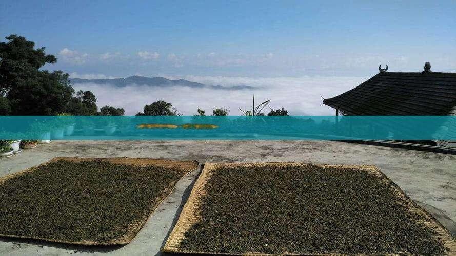 探究：在茶叶水中添加何种成分可能导致中毒？