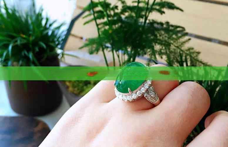 探究碧玉植物的养护需求：阳光、水分及其他护理要点