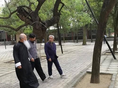 道家文始派述真