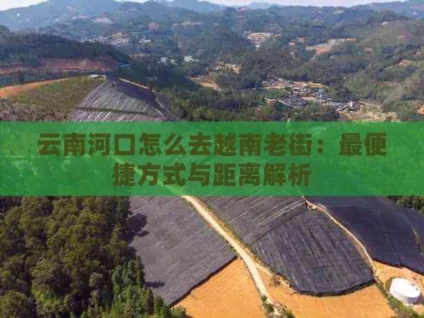 云南河口怎么去越南老街：最便捷方式与距离解析