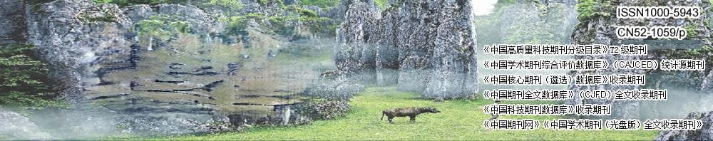 固体勘查开发信息系统与三维地质建模在福泉大湾超大型磷矿勘查中的应用