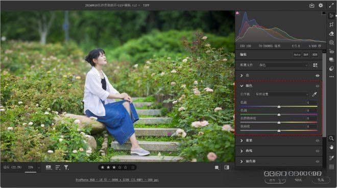 Camera Raw：编辑 - 颜色