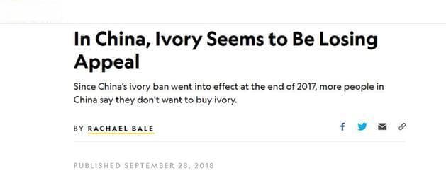 中国人不再迷恋象牙了！美媒：中国全面禁贸象牙发挥积极作用