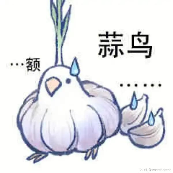 从方言到梗：语言的地域魅力与网络传播