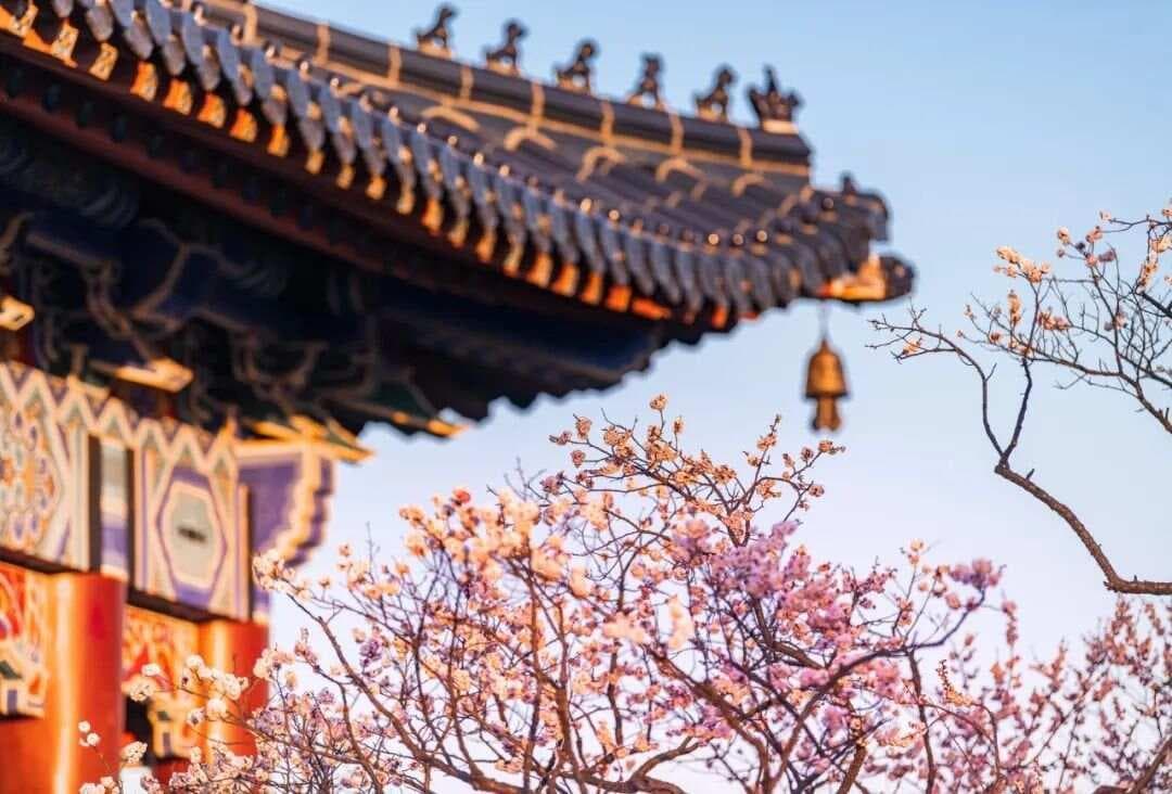 30句关于友情的神仙诗词，挑一句，送给你的朋友吧！