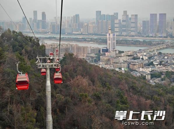 云中漫步尽览长沙美 岳麓山新索道游览攻略请收好