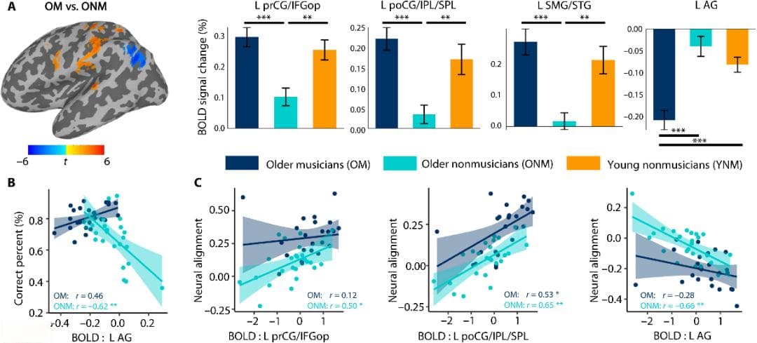 Science子刊封面研究：音乐训练让大脑更年轻