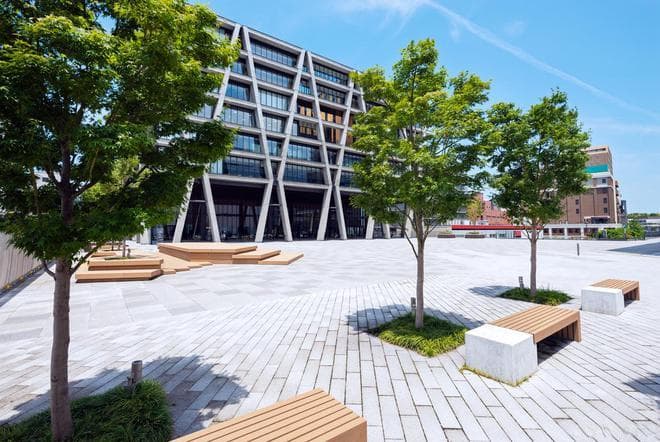 2025广东省高校排名调整：南科大第5，佛山大学第20，广药大第35