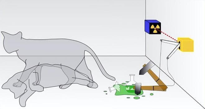薛定谔的猫：量子力学中的“生死”之谜