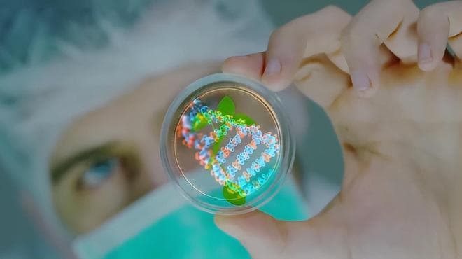 未来生命延续的四种途径：你敢选择哪一条呢？