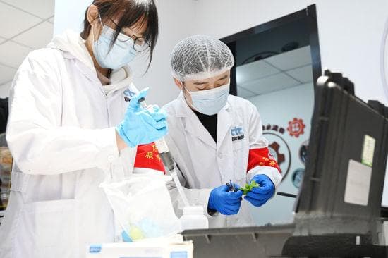 沈阳市民现场“点检”食材，10批次样品全部合格