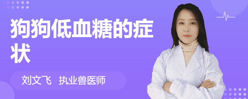 狗狗低血糖的症状及应对方法