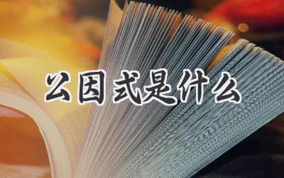 揭秘数学中的“共同点”：什么是公因式？
