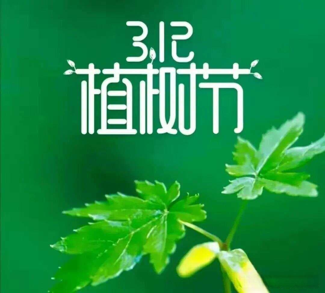 植树节知识 | 植树节有何来历？有啥意义？