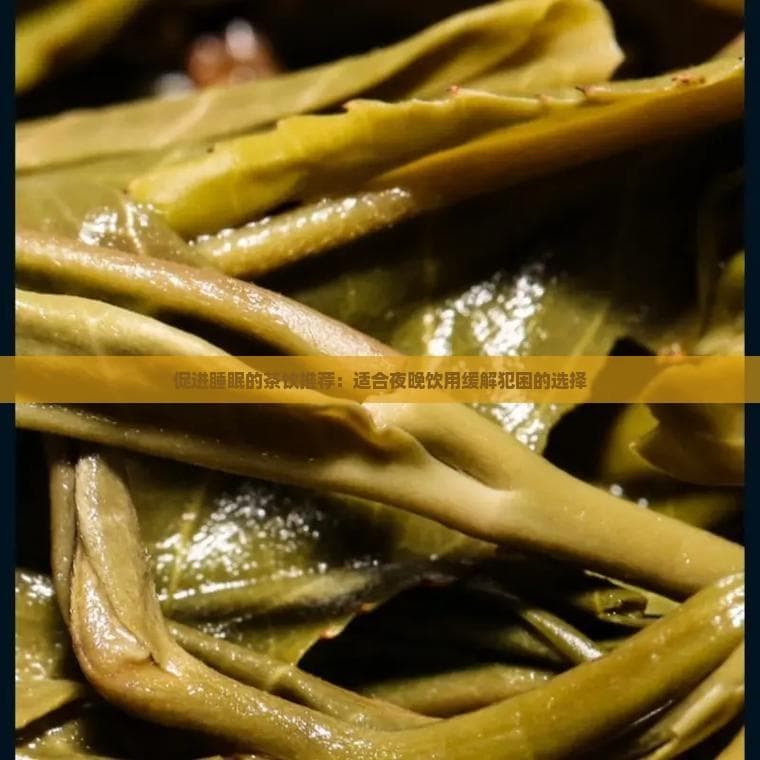 促进睡眠的茶饮推荐：适合夜晚饮用缓解犯困的选择