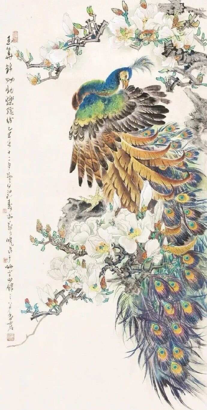 王雪涛等20大名家画孔雀，哇，好美（附画法干货收藏版）