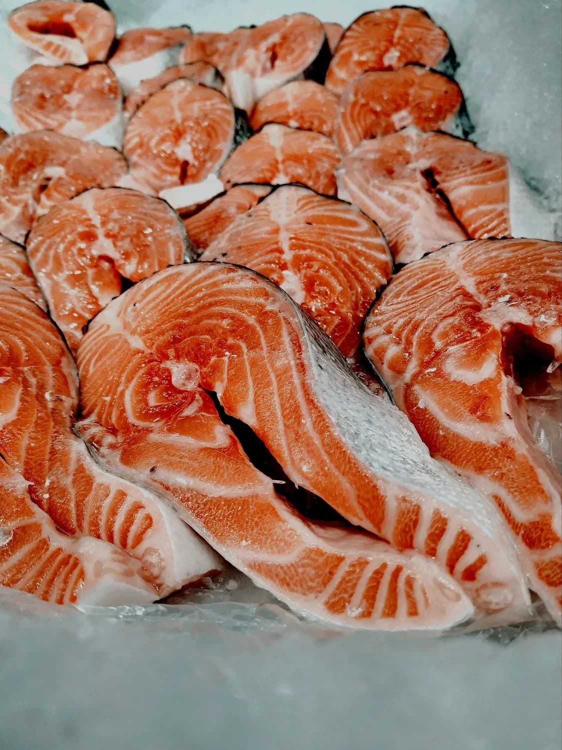 三文鱼、金枪鱼、扇贝：刺身食材大揭秘