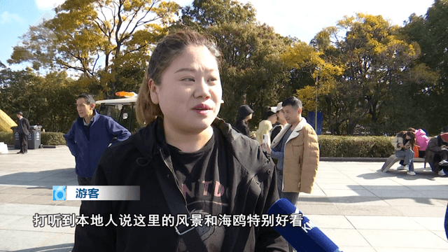 海埂公园+海埂大坝，一样美！游客：“都要去！”