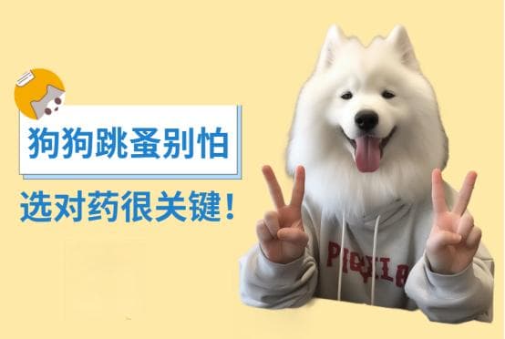 狗身上有跳蚤怎么办？用对药很关键！