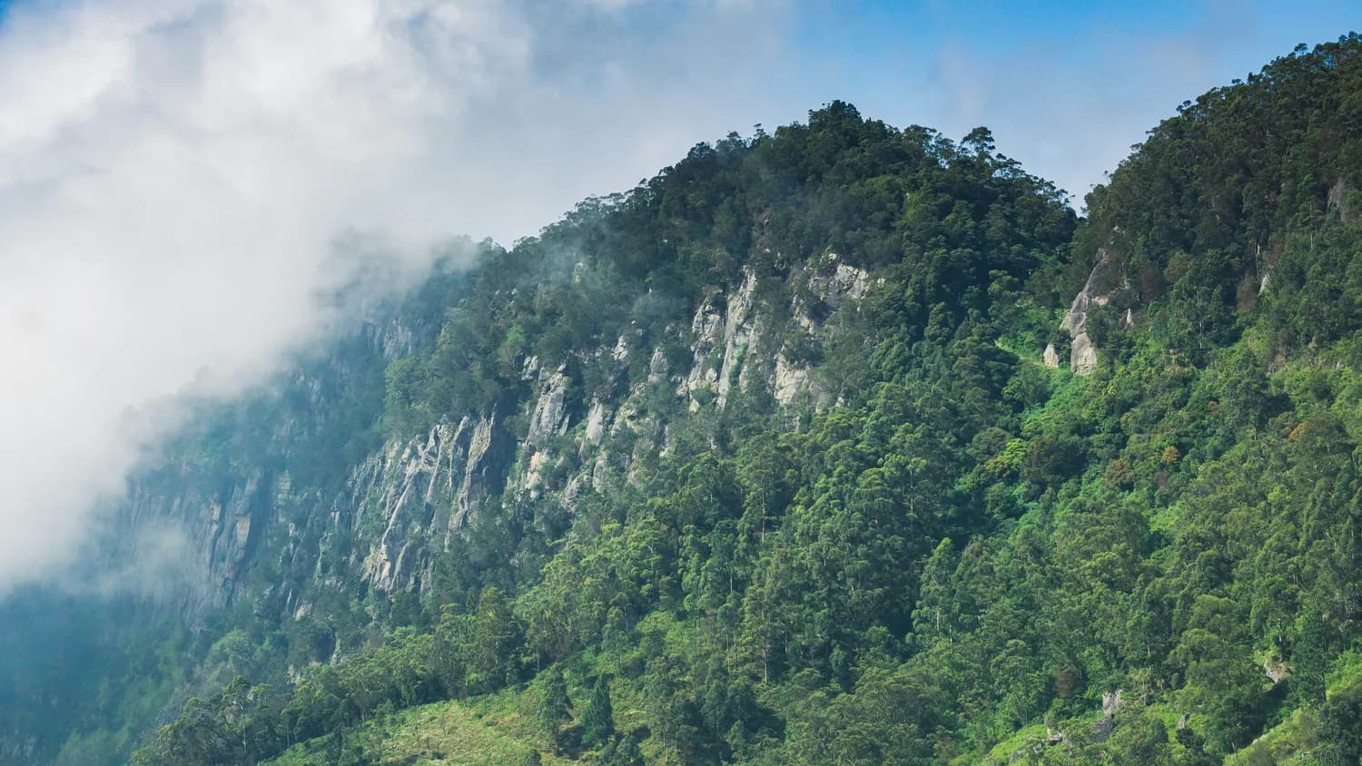福建气候的独特篇章：武夷山的自然密码