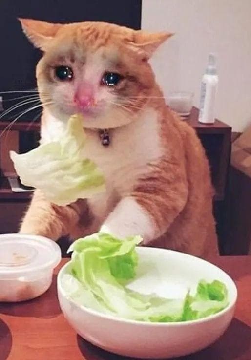 以为很长胖，其实能帮你减肥的 9 种宝藏食物