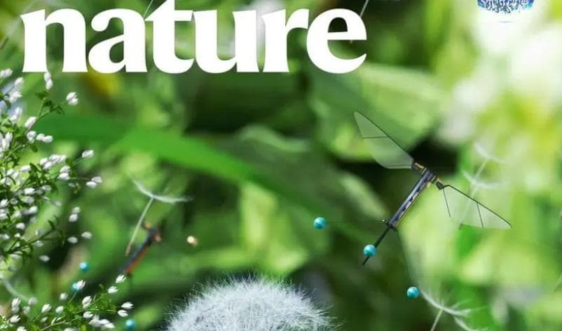 Nature期刊位列SCI一区，引领全球科学研究