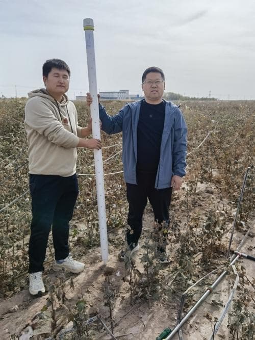 诊土壤之脉 创丰收未来——世界土壤日，“土壤医生”为新疆土壤“把脉问诊”
