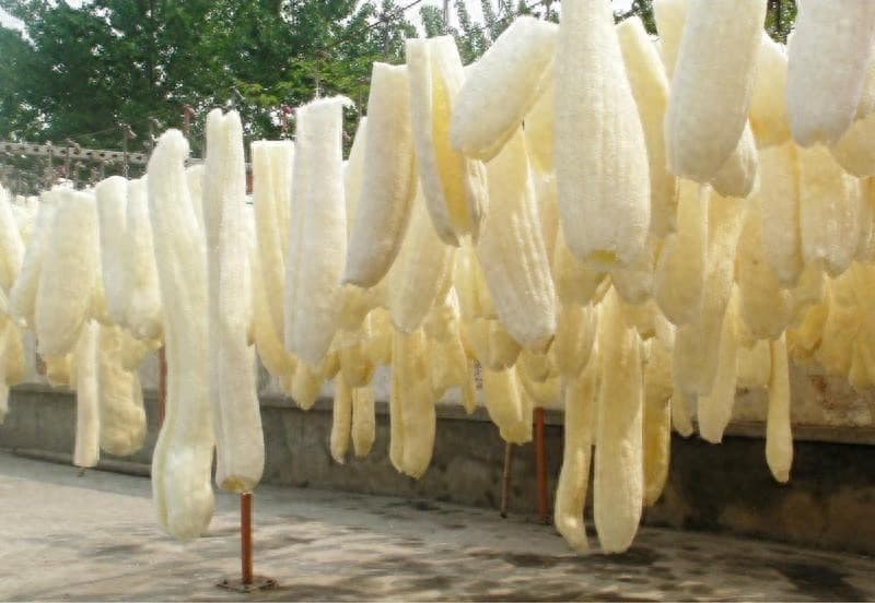丝瓜络为什么可以洗碗？丝瓜瓤的神奇功效大揭秘