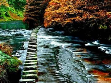 广元天台山旅游攻略：探秘川北天然氧吧