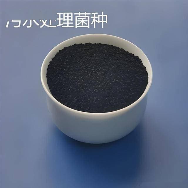 最适宜菌种生存的环境是什么