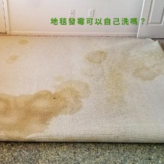 家庭霉菌清洁全攻略：从原因分析到预防措施
