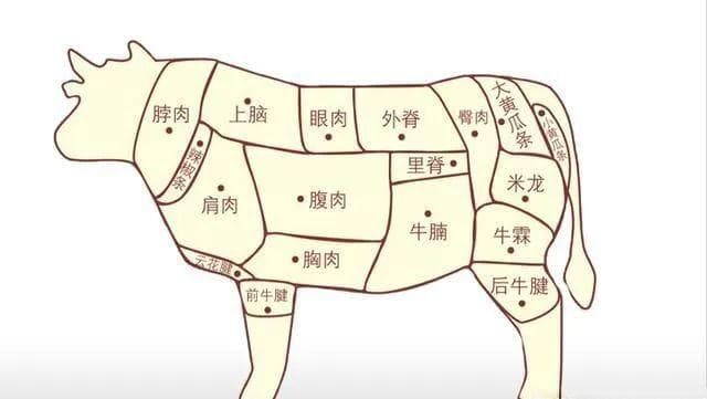 选牛腩时，留意以下两点，选出的牛腩又好吃又有嚼劲！