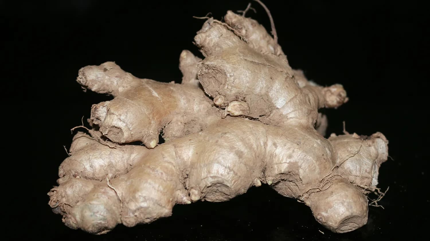 三七皂苷R1：心血管疾病治疗的新希望