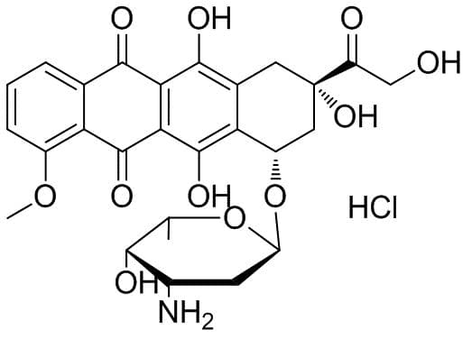 阿霉素：一种重要的化疗药物