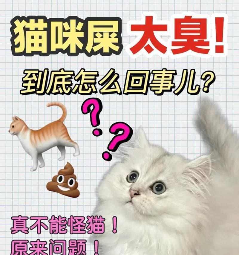 如何分辨猫便便的正常情况？（教你识别猫的大便是否健康，保护它的消化系统）