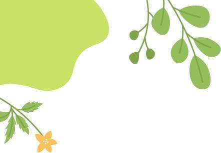 春游白山 奔赴诗和远方 | 来长白挖野菜~这里春光正好！