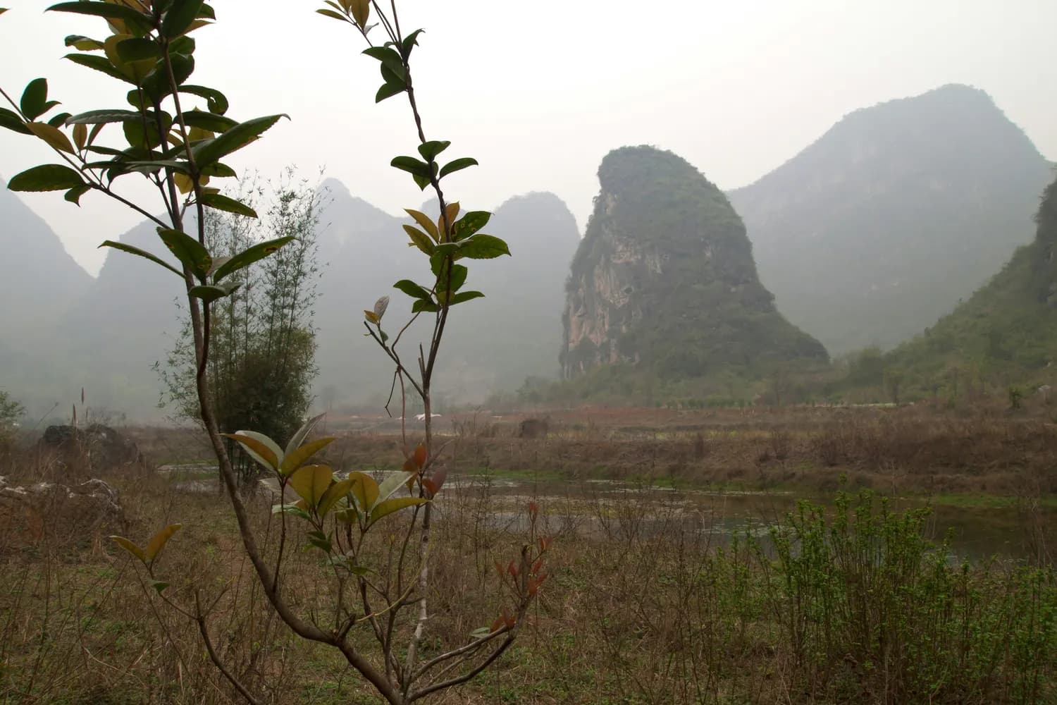 冯志亮解读百家姓之杨姓变迁：从春秋杨国到当代第一大姓