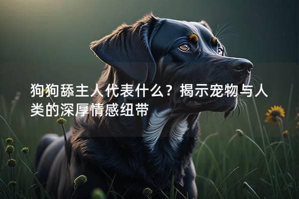 狗狗舔主人代表什么？揭示宠物与人类的深厚情感纽带