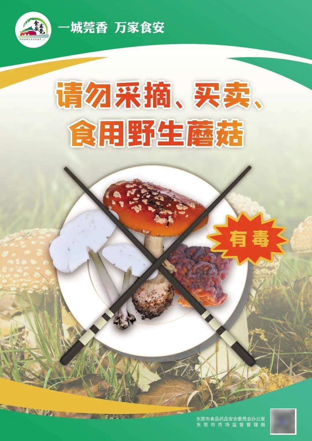 【食品安全】拒绝毒蘑菇——预防食用野生毒蘑菇（菌）科普宣传