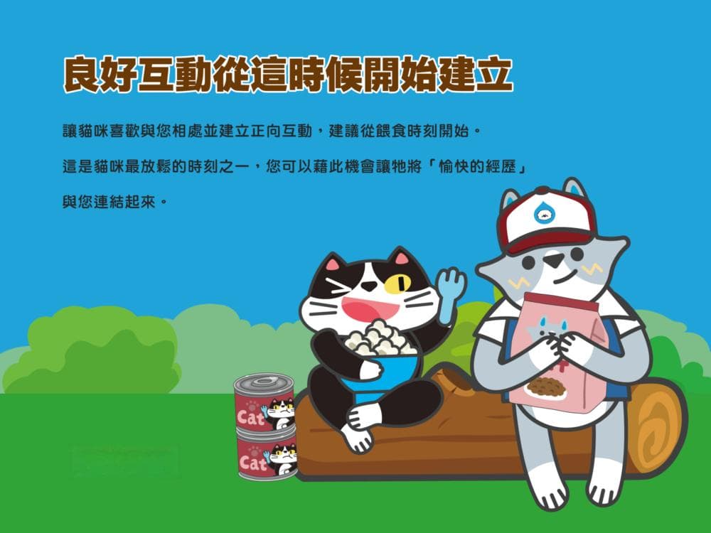 想训练猫咪听指令怎么做？教你训练技巧