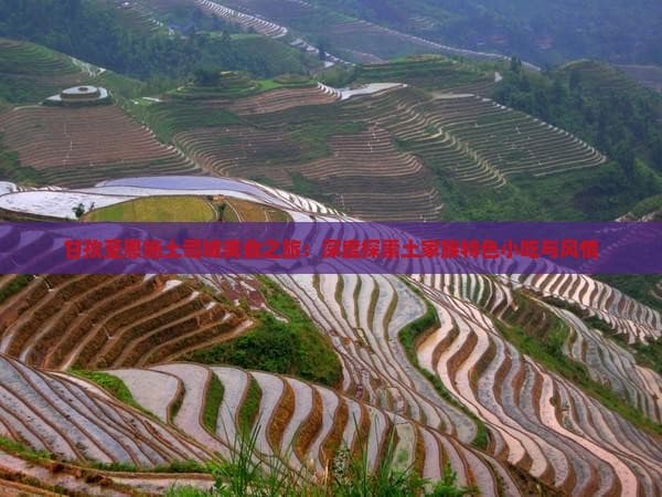 甘孜至恩施土司城美食之旅：深度探索土家族特色小吃与 ...