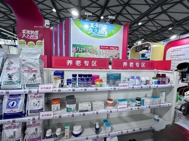 老年宠物健康护理指南：细致关爱与周到陪伴的重要性