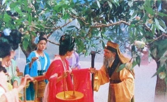 《西游记》人参果隐藏着什么秘密？隐藏着长生不老的终极秘诀