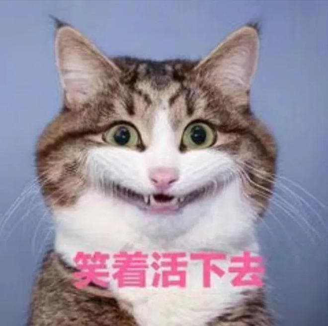 AI育儿专家DeepSeek：关于育儿的十个难题解答