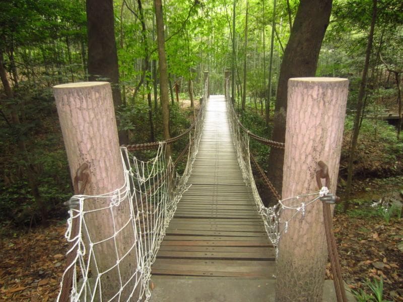 杭州10条徒步路线，每一条都藏着独特的风景与故事