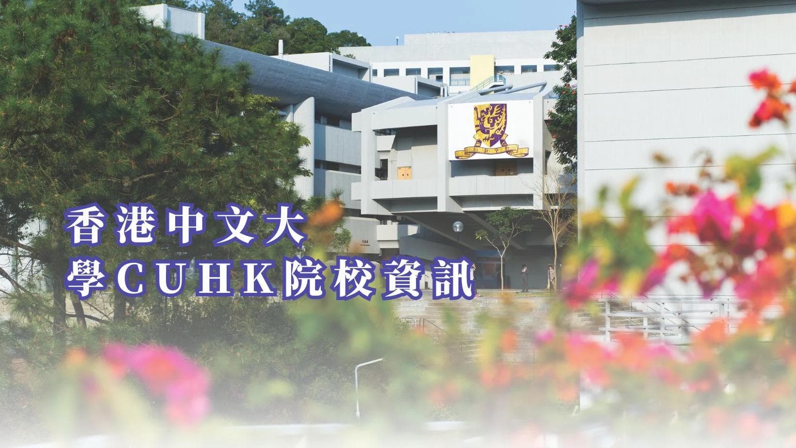 香港中文大学：院校信息与书院制度详解