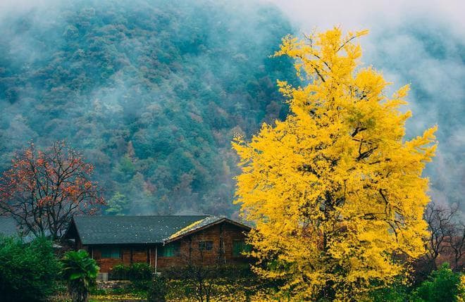 余姚十大景点全攻略：从自然景观到人文古迹，尽显江南水乡魅力