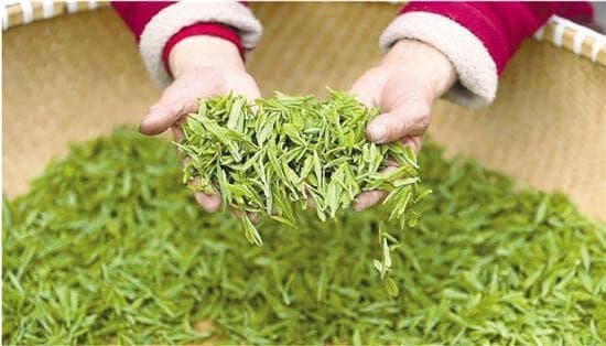 喝西湖龙井茶有什么好处？