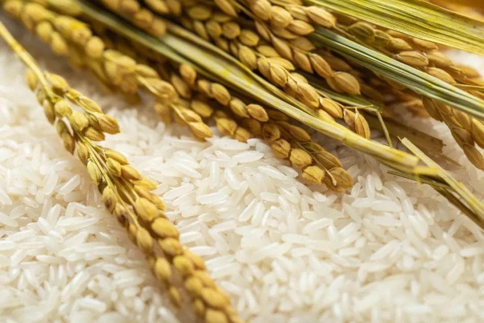 保障粮食供给，要用好市场和政府“两只手”
