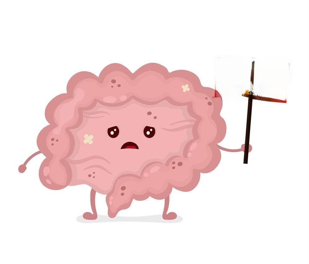 益生之道：探索植物乳杆菌的神奇健康功效